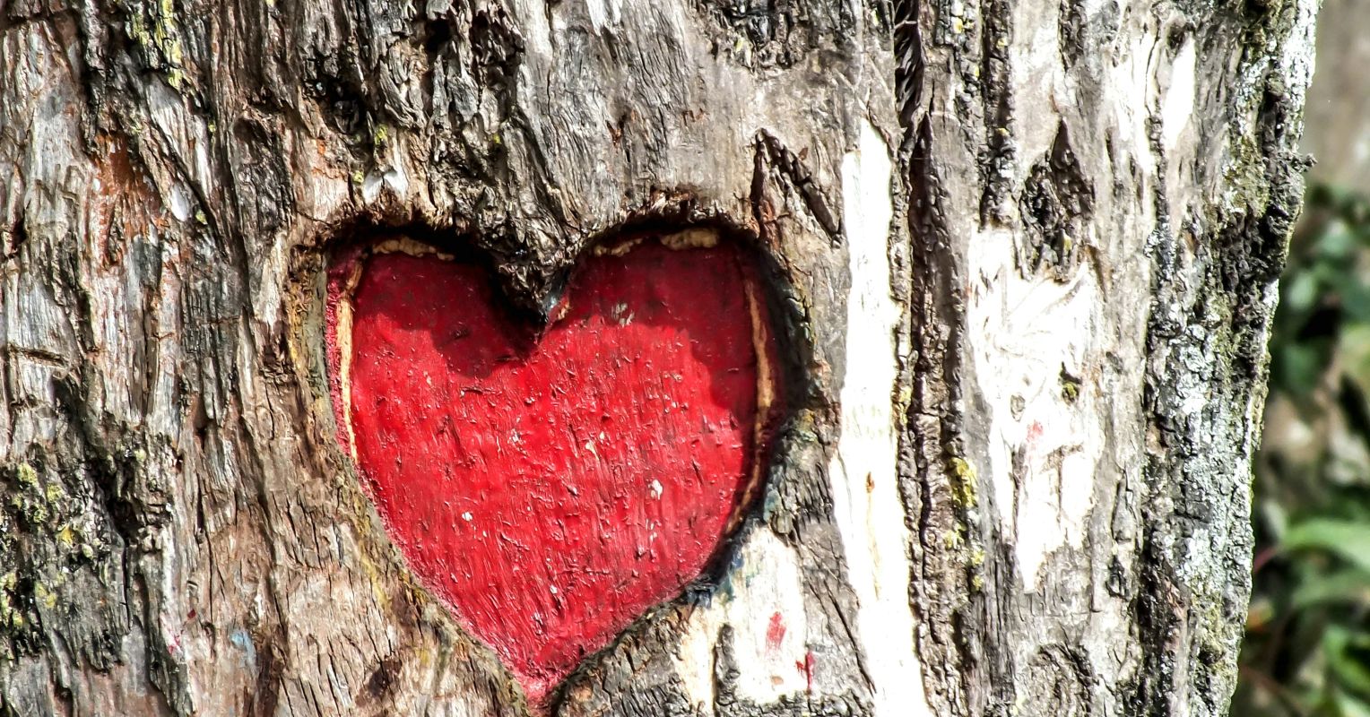 Feeling unlovable after a divorce is not uncommon but there are things you can do to get back to feeling like your best self.