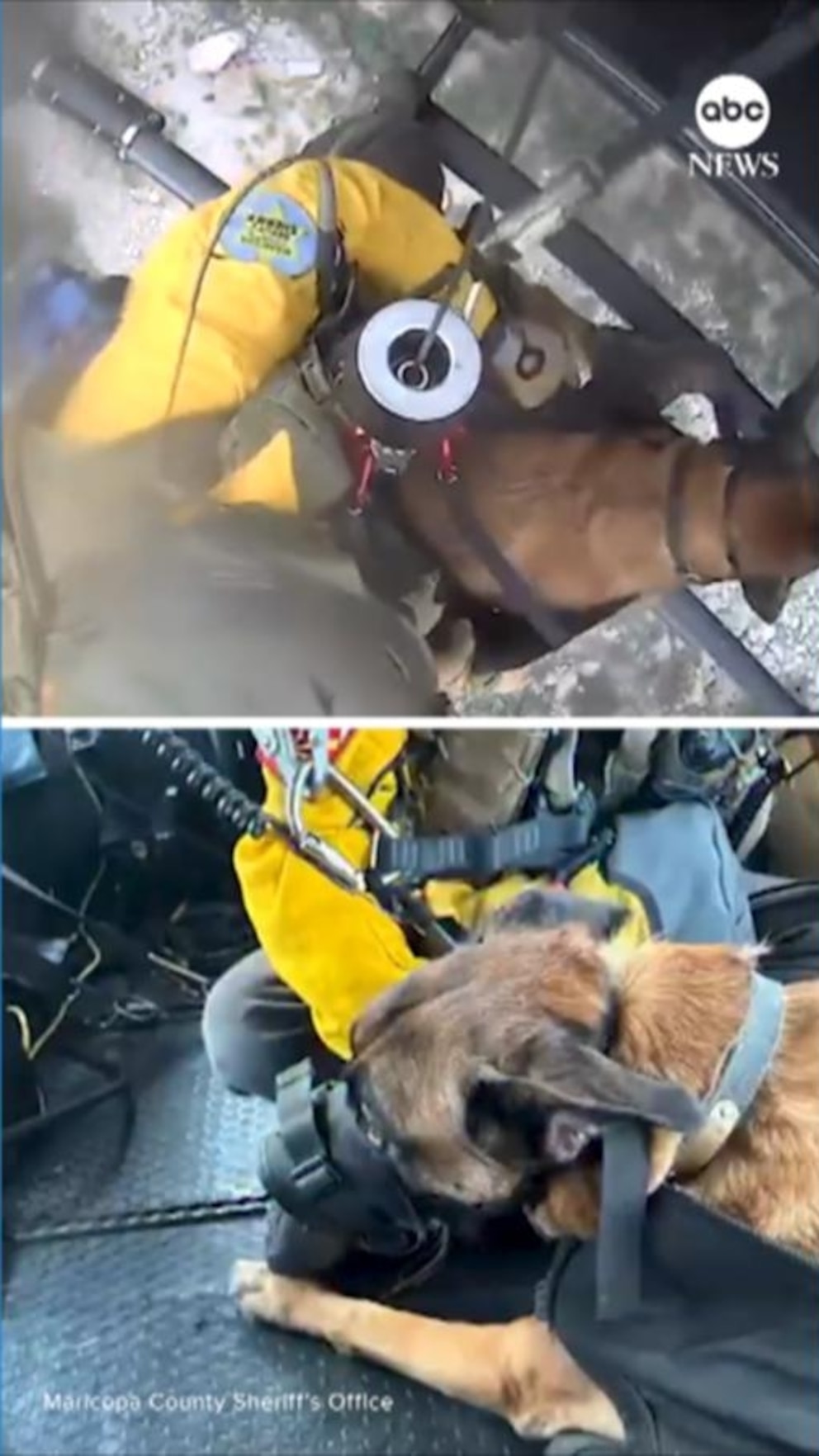 Authorities in Arizona shared video of a "brave pup" being airlifted to safety after the dog was injured while out on a hike with its owner near Phoenix.
