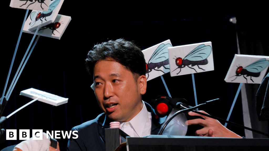 The tongue-in-cheek scientific awards also recognise research into lizard's preferred pizza and garlicky breastmilk.