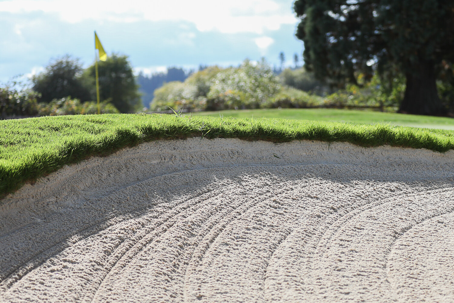 Sep. 30—The Rochester boys golf team dropped a close matchup against Elma on Monday at Riverside, where the Warriors fell 206-213 to the Eagles. Wesley Dahl led the Warriors with a 51, while Clayton Knutson, Bo Grimm, and Darin Ware came in at 53, 54, and 55,…