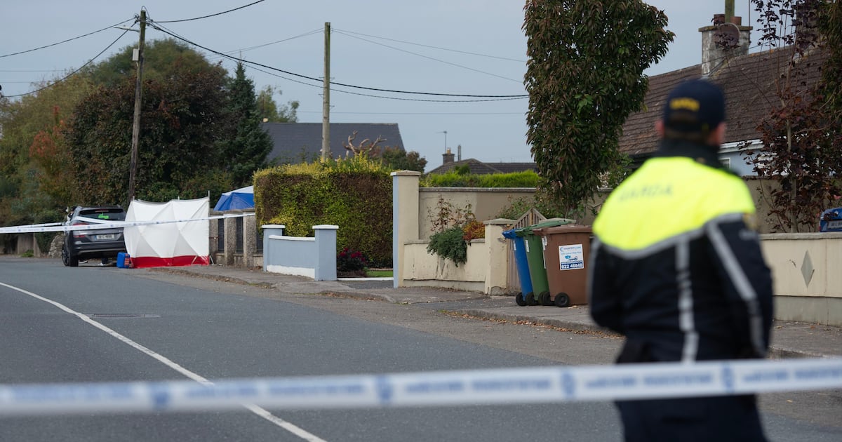 Body of  44-year-old man was found at Rockview Terrace, Doneraile, in the early hours of Sunday