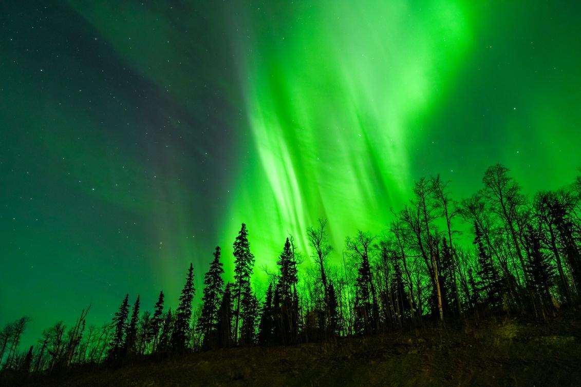 The Northern Lights may be visible in the U.S. this week, following a geomagnetic storm forecast by space weather experts at NOAA.