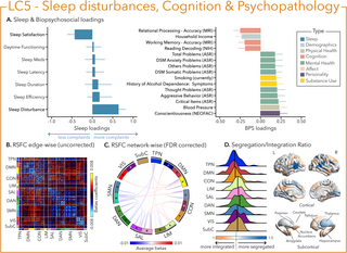 Sleep can be a marker of health but is often only investigated from a single dimension such as sleep duration or cognitive performance. This study identifies five sleep-biopsychosocial profiles that link self-reported sleep patterns to inter-individual variab…