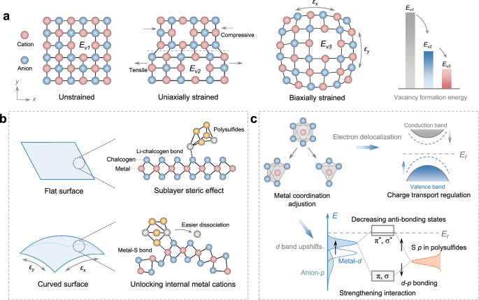 Strain engineering is effective in modulating catalyst activity. Here, authors report a high-dimensional biaxial strained dichalcogenide catalyst to unlock inner metal sites, which accelerates sulfur redox kinetics and enables lithium–sulfur pouch cells with …