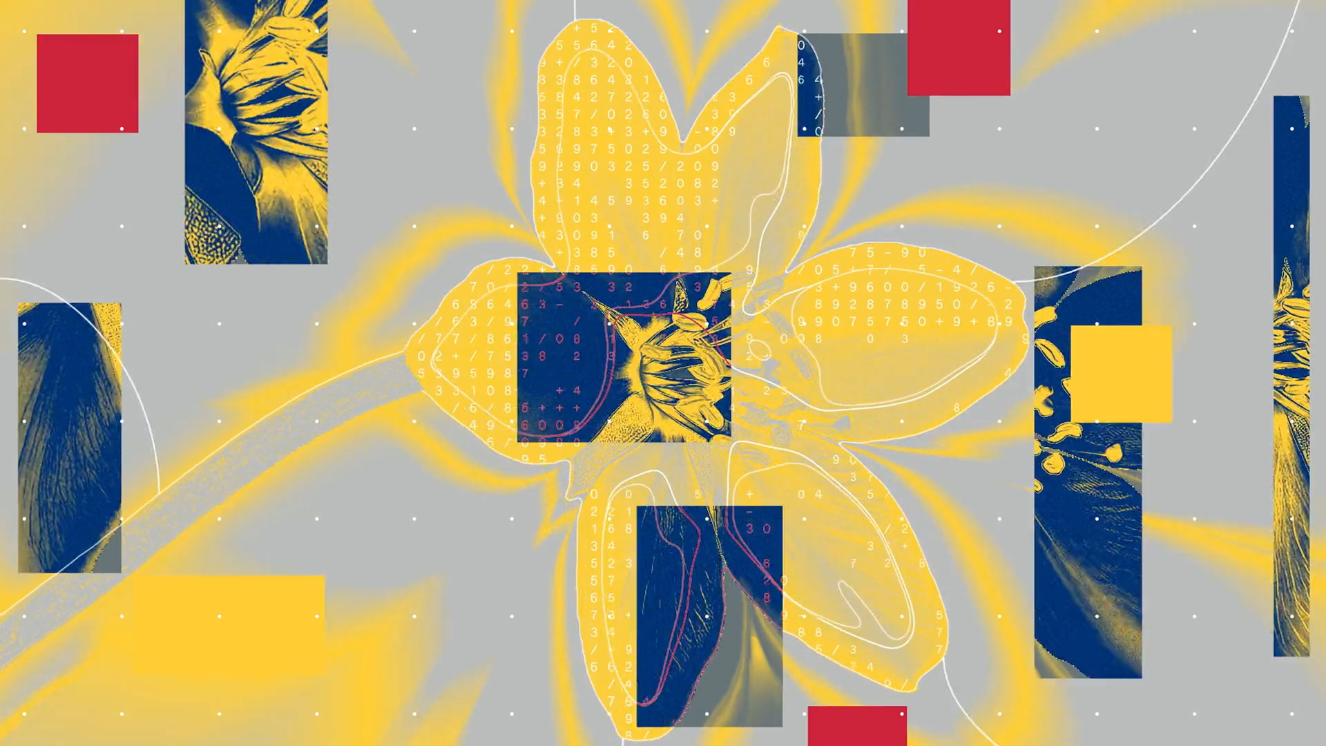 Vincent Lammers, ECD in BUCK's Amsterdam studio, heads up this vibrant and thoughtful launch film for consumer electronics brand Nothing and their Playground AI platform that allows users to design and personalize their phones.  [Watch]
The post BUCK Launches…