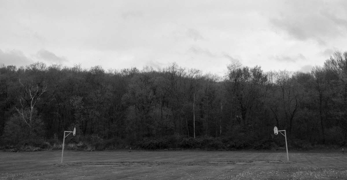 In her new book, Beth Macy returns to her Donald Trump–voting hometown to find out how America got so divided.