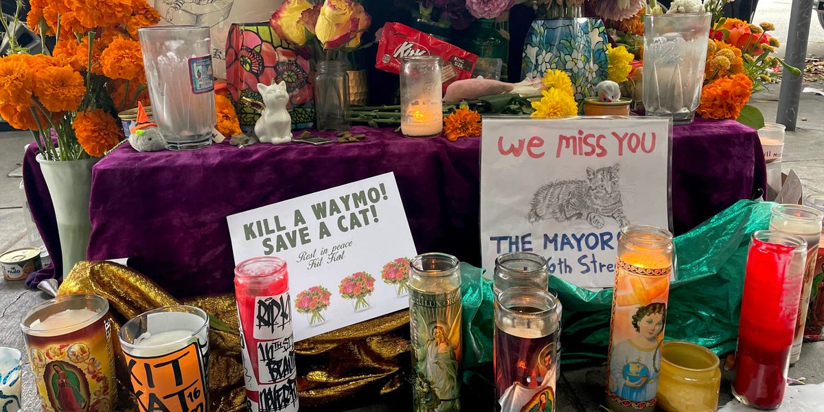 Waymo is drawing ire in San Francisco after the owner of a beloved bodega cat said the feline was run over and killed by the company's robotaxi.