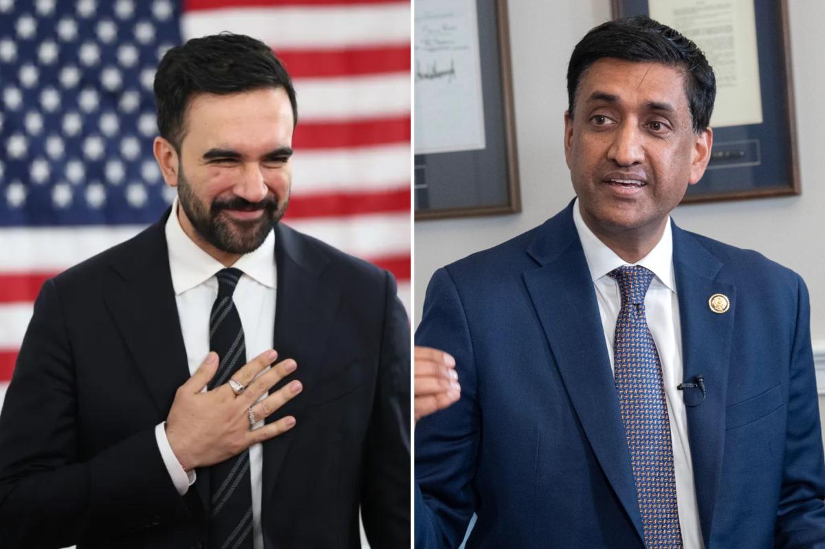 "I believe, obviously, in innovation and free enterprise,'' California Rep. Ro Khanna told The Post.