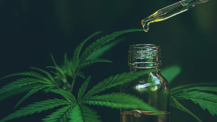 Researchers described cannabis’ efficacy as “superior” to those of traditional Alzheimer’s medications.
The post Clinical Trial: Daily Use of Plant-Derived Cannabis Extracts Improves Cognition in Dementia Patients appeared first on NORML.