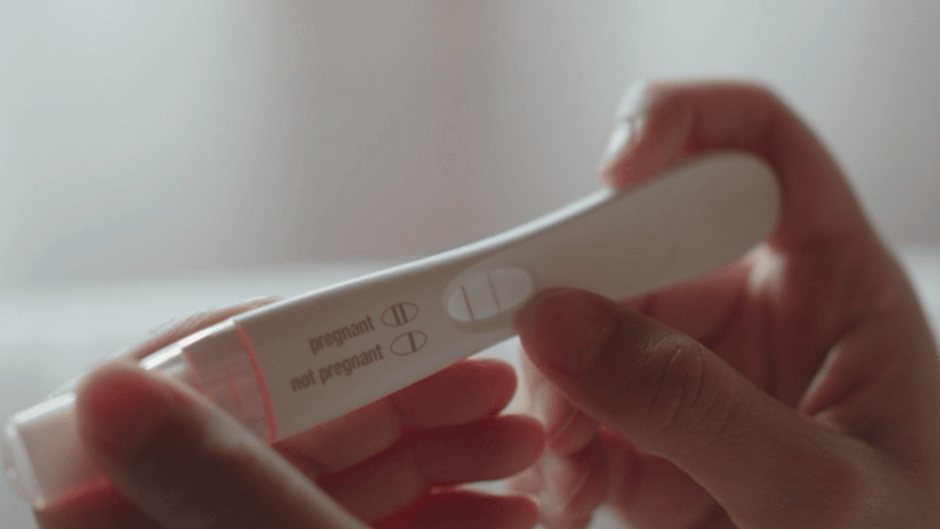 Policymakers have already called for more coordinated action at the EU level