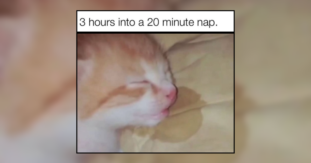 Ahhh, the morning sighs of blissful awakenings when you're just coming out of your dream land to meet reality in full flesh. Your pillow so soft under your delicate hair, the quiet of the morning hours radiating in your ears, and your precious, purrfect, paws…