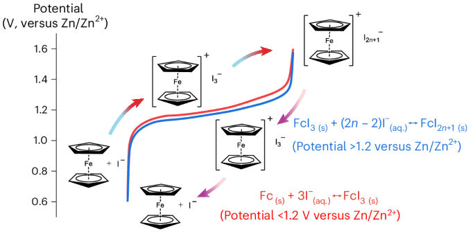Aqueous zinc–iodine batteries offer an inexpensive, safe technology for energy storage, but using inactive host materials limits the energy density and polyiodide shuttling reduces cycling lifetimes. Now it has been shown that integrating electroactive ferroc…