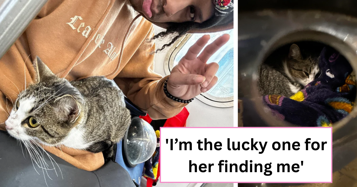 Life works in mysterious ways. When one door opens, another closes. Though we're all sick and tired of clichés that seem to only work for "lucky" people, there's a universal truth to them. While this wholesome hooman was Urbexing and exploring an abandoned ho…