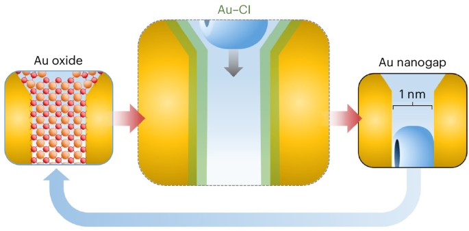 Controlling nanoscale interfaces is key for ensuring stable plasmonic and catalytic function yet remains difficult to achieve under operando conditions. Now it has been shown that transient Au–Cl adlayers function as redox-active Au(I) intermediates, modulati…