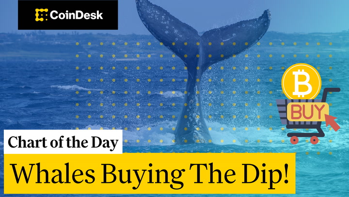 As Bitcoin's price plunges to multi-month lows, holding below $100,000, "smart money" is making a move. This "Chart of the Day" shows a sharp spike in...