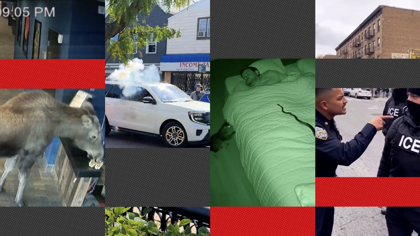 There's no one way to be absolutely sure about a video's authenticity, but experts say there are some simple clues that can help.