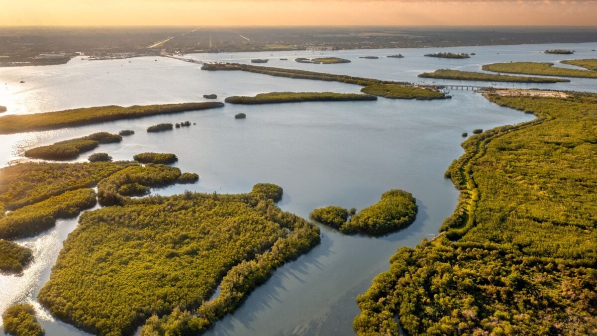 Space Coast communities have spent years and millions of dollars restoring the Indian River Lagoon. Now, they hope to stop Blue Origin from reversing that progress.