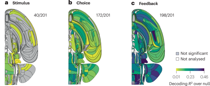 Both localized and distributed views on the functional organization of the brain have been put forward. In this Perspective, Rosen and Freedman examine the degree to which these two views account for abstract cognition.