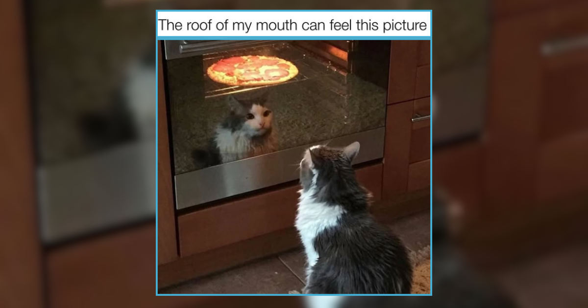 Thanksgiving is right around the corner, and we all love the food. It's pretty much the food holiday: turkey, stuffing, gravy, mashed potatoes, and moms apple pie. We don't know about you, but we're more that excited to be around the dinner table, even if our…