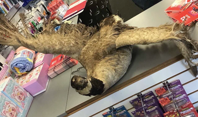 GameStop's "Trade Anything Day" took place on December 6 and, as expected, people brought in all manner of items to get some cash. GameStop said in a news release that it took in more than 80,000 trades across the US on December 6 alone, and people brought in…