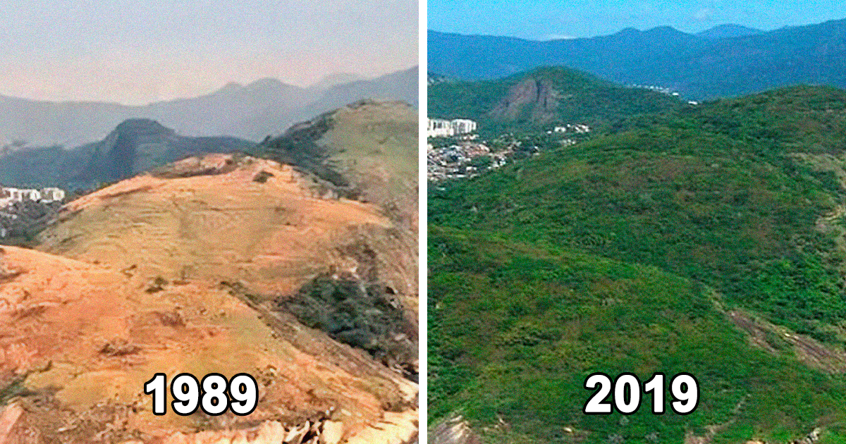 People love going down rabbit holes, and when they crawl back with something new, they head straight to the subreddit 'All That's Interesting.' It's full of pictures of remote places, historical artifacts, inspiring human initiatives, and much, much more. So …