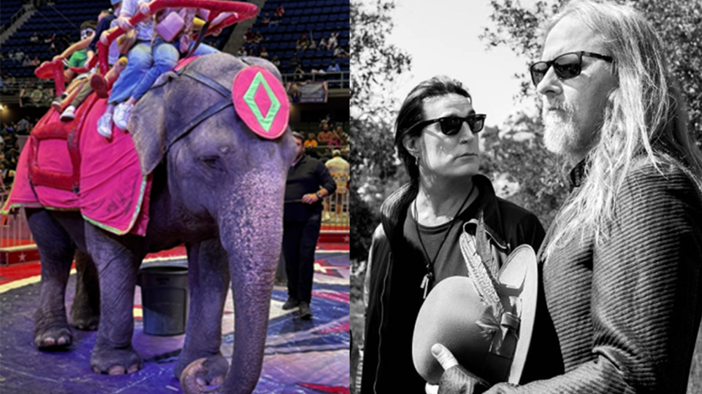And this is supposed to save the elephant... how?
The post PETA Pushes Alice in Chains to Change Their Name, Proving No One is Safe from Their Outreach Department’s Fever Dreams appeared first on MetalSucks.