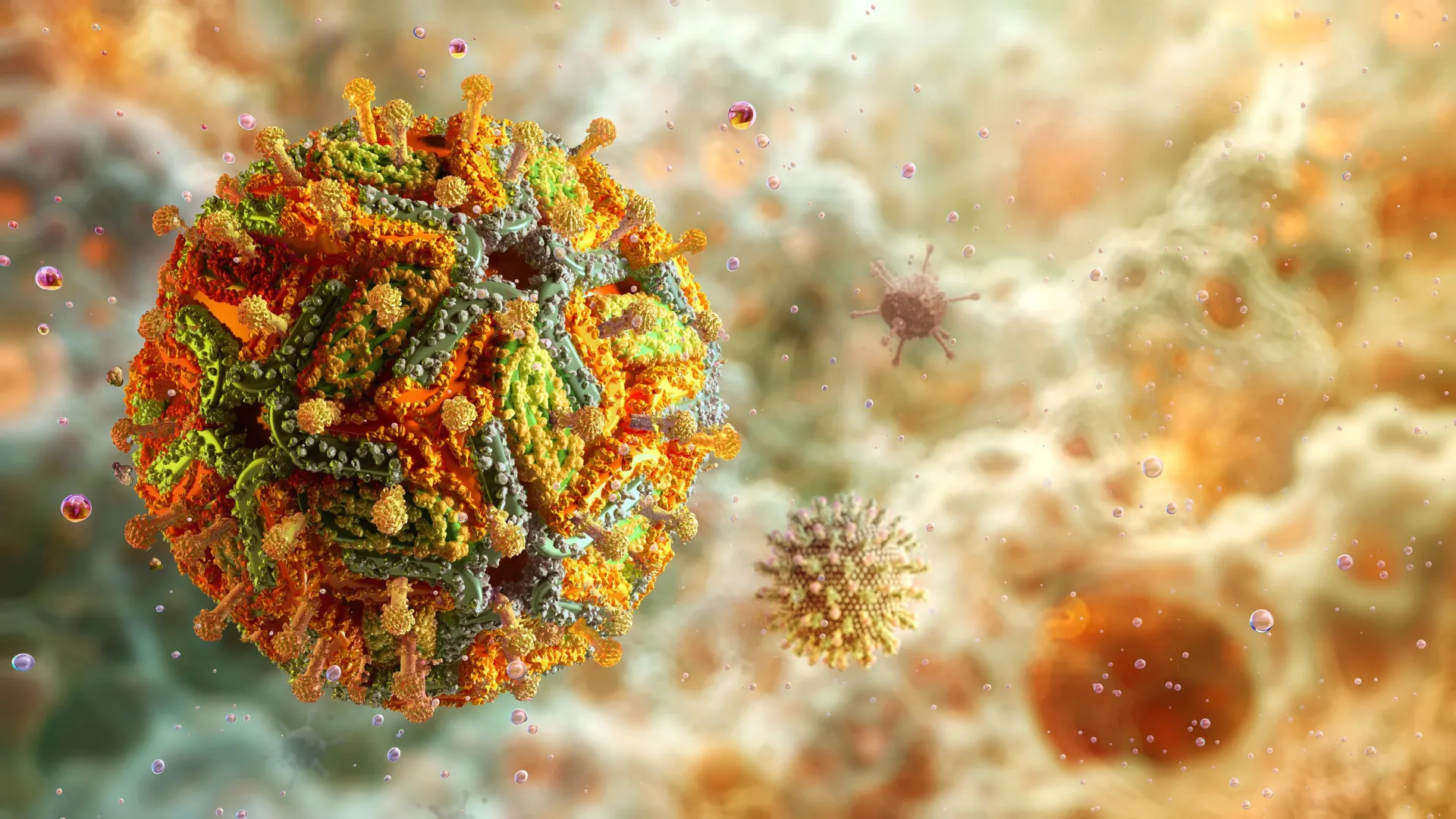 University of Queensland researchers visualized yellow fever virus particles at near-atomic detail, uncovering major structural differences between vaccine and virulent strains. The insights could lead to better vaccines and treatments for yellow fever and re…