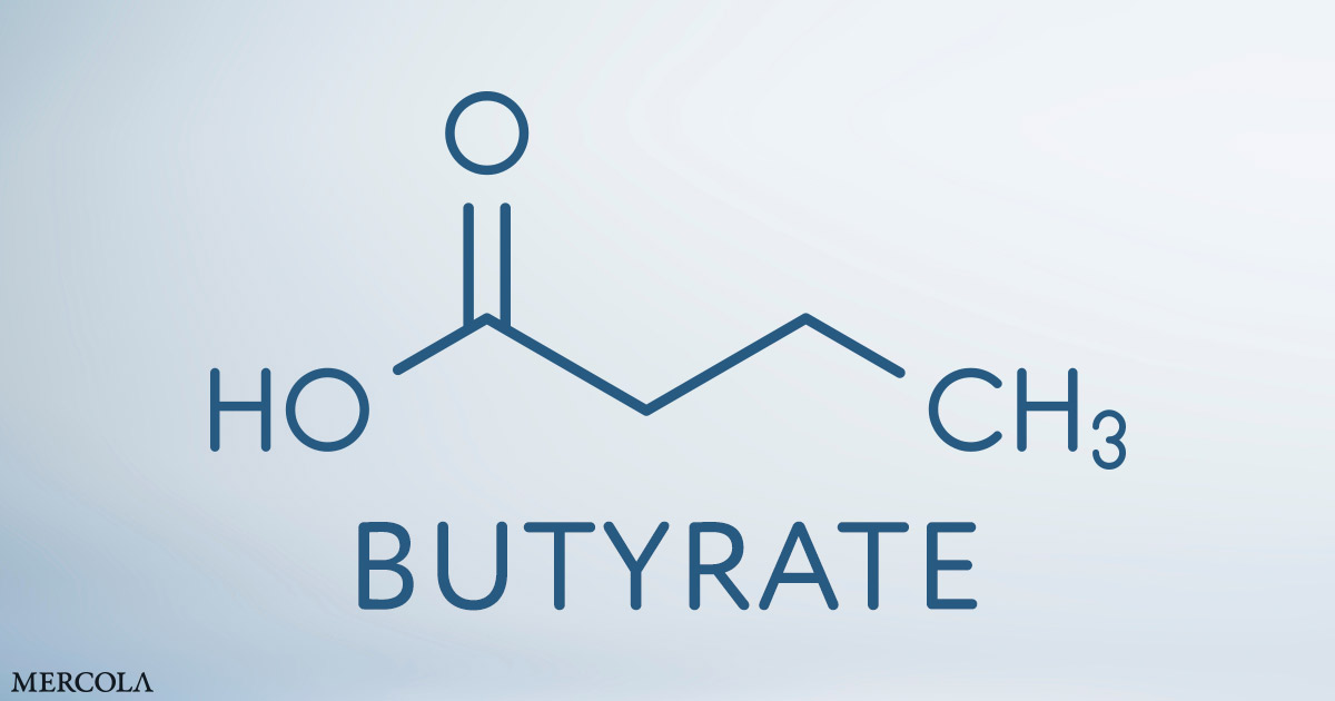 Butyrate, a short-chain fatty acid (SCFA) produced in your colon through the bacterial fermentation of dietary fiber, is a metabolite byproduct that nourishes your colonocytes (i.e., the cells lining your colon). Interestingly, it's also an important signalin…