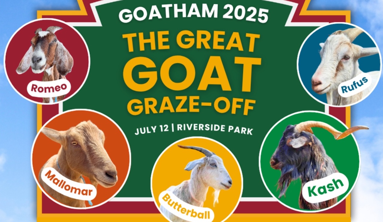 Riverside Park in New York City is hosting "Goatham 2025: The Great Goat Graze-Off", the first ever competitive eating contest for goats. 
subscribe to the Laughing Squid Newsletter
The post Goatham 2025 – New York City’s Riverside Park Hosts the First Ever C…
