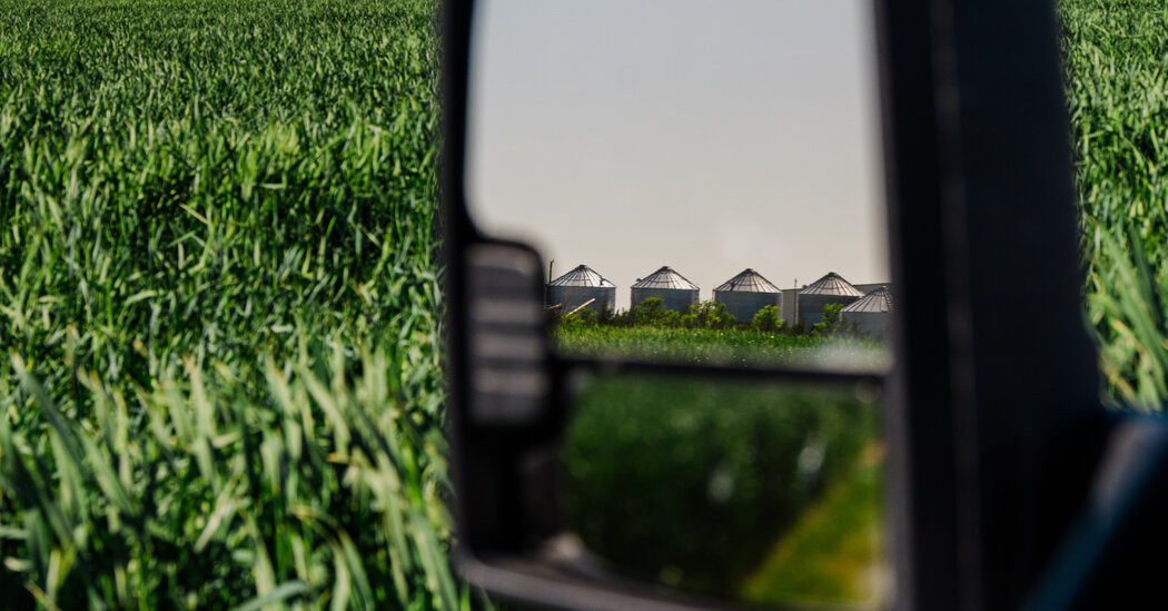 New York Times:
From Food Aid to Dog Chow?  How Trump's Cuts Hurt Kansas Farmers. … Wheat grows so prodigiously here on the Kansas high plains that in 1953 the surplus birthed one of the Cold War's big ideas: Food for Peace, a federal government program that …