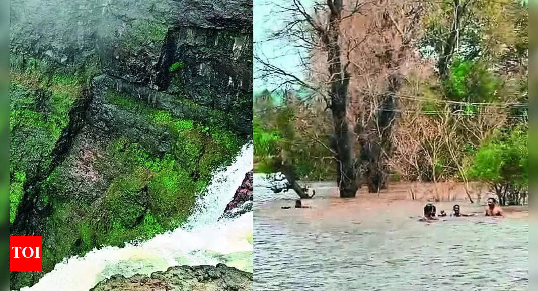 Heavy rainfall stranded 300 trekkers, including 100 women, at Malshej Ghat. Forest staffers and locals conducted a seven-hour rescue operation. The trekkers were stuck near Waghachi Wadi on the Thane-Pune border. Rescuers used ropes and ziplines to move peopl…