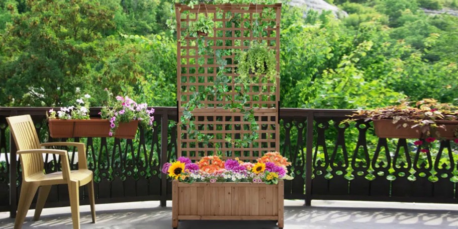 Spruce up your outdoor space with this Planter Box from Wayfair!  Through July 7th, dash over to Wayfair.com where you can snag this Arlmont & Co. Handmade Planter Box w/ Trellis for just $101.99 shipped (regularly $220.89)! HIP TIP: New customers can score a…