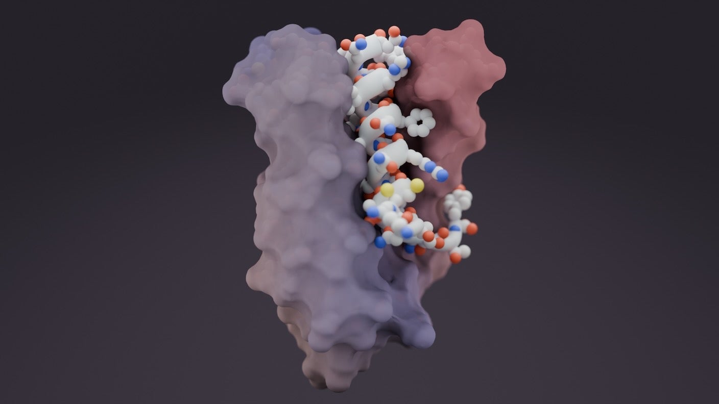 A new AI tool opens the door for designer protein drugs that tackle pain, cancer, and brain diseases.
The post AI-Designed Drugs Can Now Target Previously ‘Undruggable’ Proteins in Cancer and Alzheimer’s appeared first on SingularityHub.
