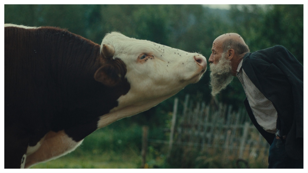 A hybrid, a drama, a fairy tale and a documentary – even Slovak director Miro Remo doesn’t know how to define Karlovy Vary Film Festival winner “Better Go Mad in the Wild.” And he doesn’t care.  “It’s not important to me where this film fits formally. What ma…