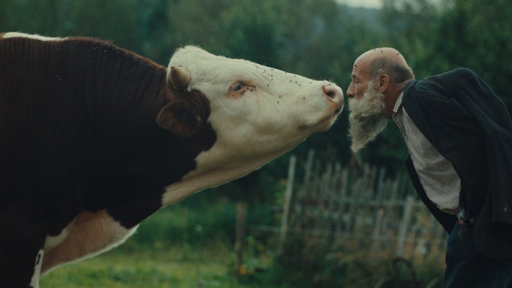 The shadow of the Maysles brothers looms large over the surprise winner of the 59th Karlovy Vary International Film Festival, a documentary that can’t help but summon up the spirit of the duo’s 1975 masterpiece Grey Gardens. That film told the story of two wo…
