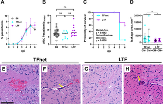 Author summary Despite decades of research, the mechanistic drivers of severe malaria development are not well understood. Mouse models of severe disease, though imperfect, are an invaluable resource for investigating the underlying causes of severe disease, …