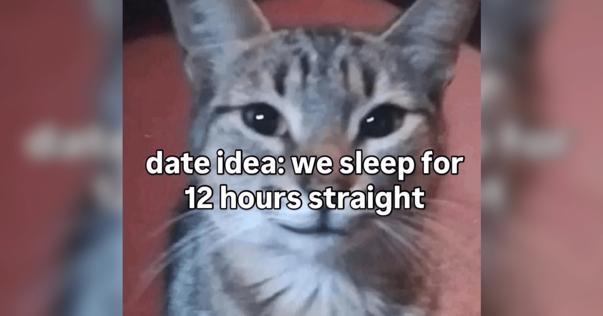 It has long been the accepted wisdom that cats and all the silly jokes we like to make with them are the glue holding this fragile internet together. Even if there are more appropriate technical explanations for how the World Wide Web keeps on running, it mak…