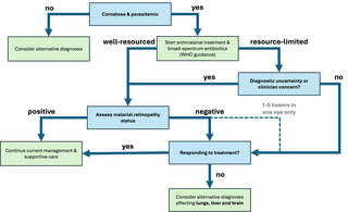 In this retrospective study, Kyle Wilson and colleagues re-evaluate the diagnostic value of malarial retinopathy in pediatric cerebral malaria using data from the Blantyre autopsy study.
