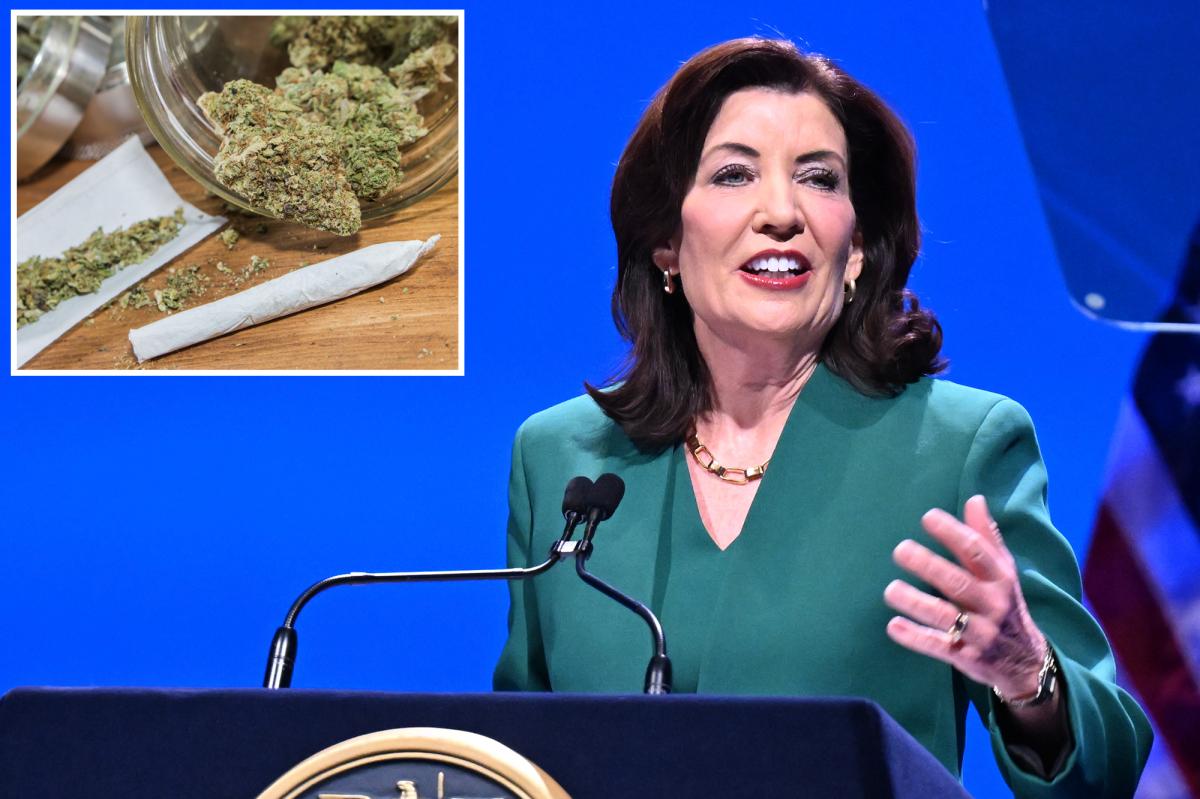 Hochul wants to open the nation's first medical center for "cannabis care" that will offer residencies for medics-in-training wanting to pair their Hippocratic Oaths with hydroponic tokes.