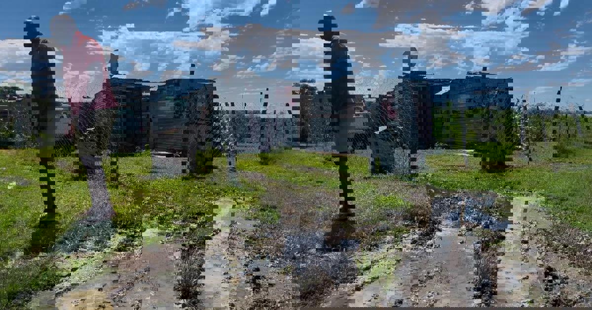 This is while ANC President Cyril Ramaphosa and some of the party’s leadership have been in Rustenburg on Wednesday, engaging with community members ahead of the organisation’s January 8 celebrations.