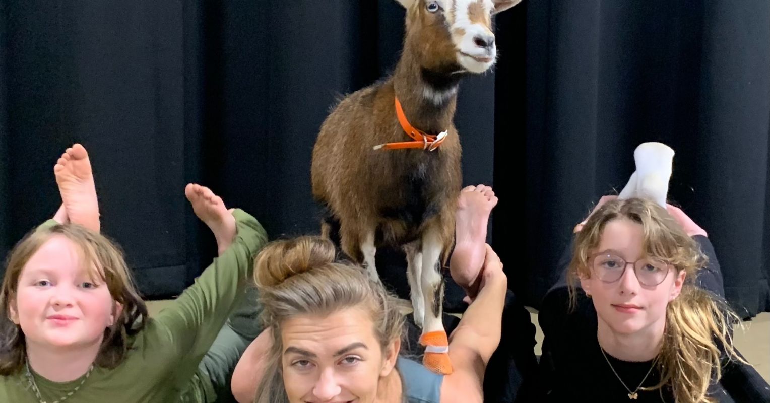 Personal Perspective: Goat yoga—it's real and it's in Los Angeles. Here's what it taught me.