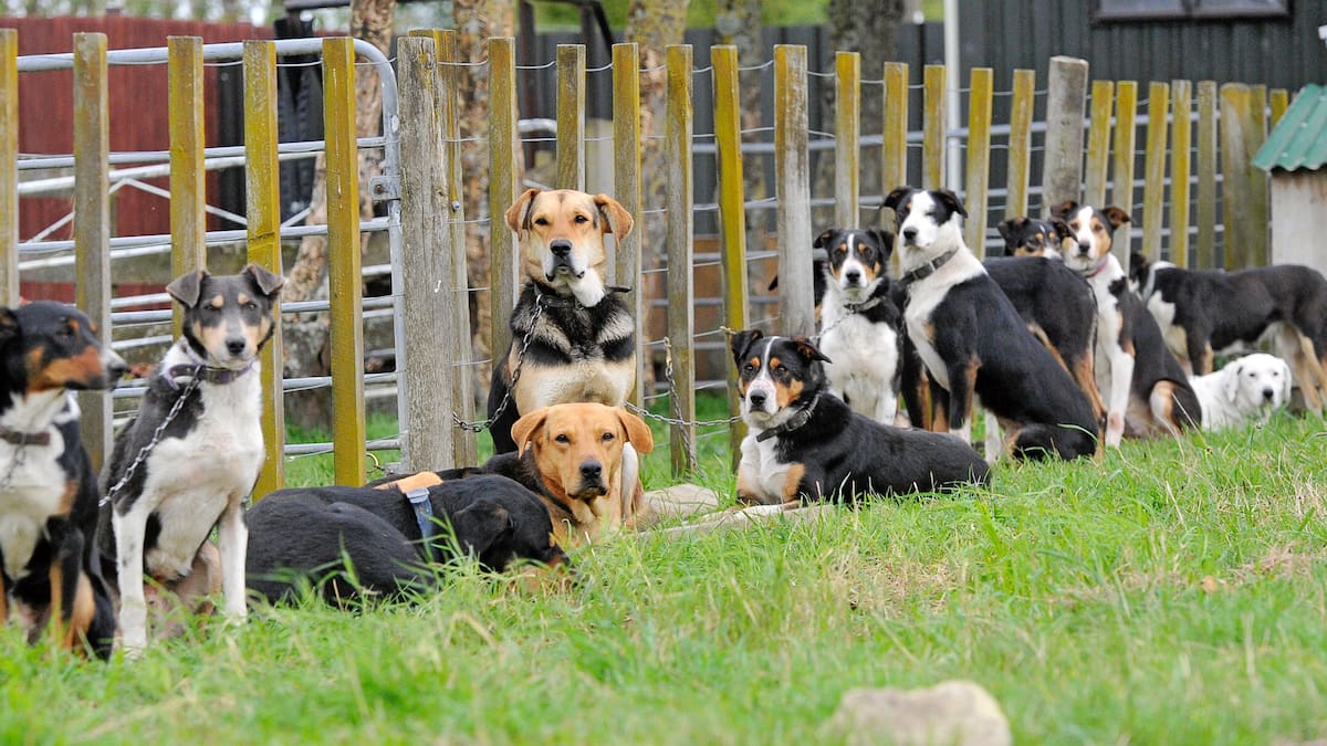 OPINION: It’s rarely about what’s trendy; it’s about what works.