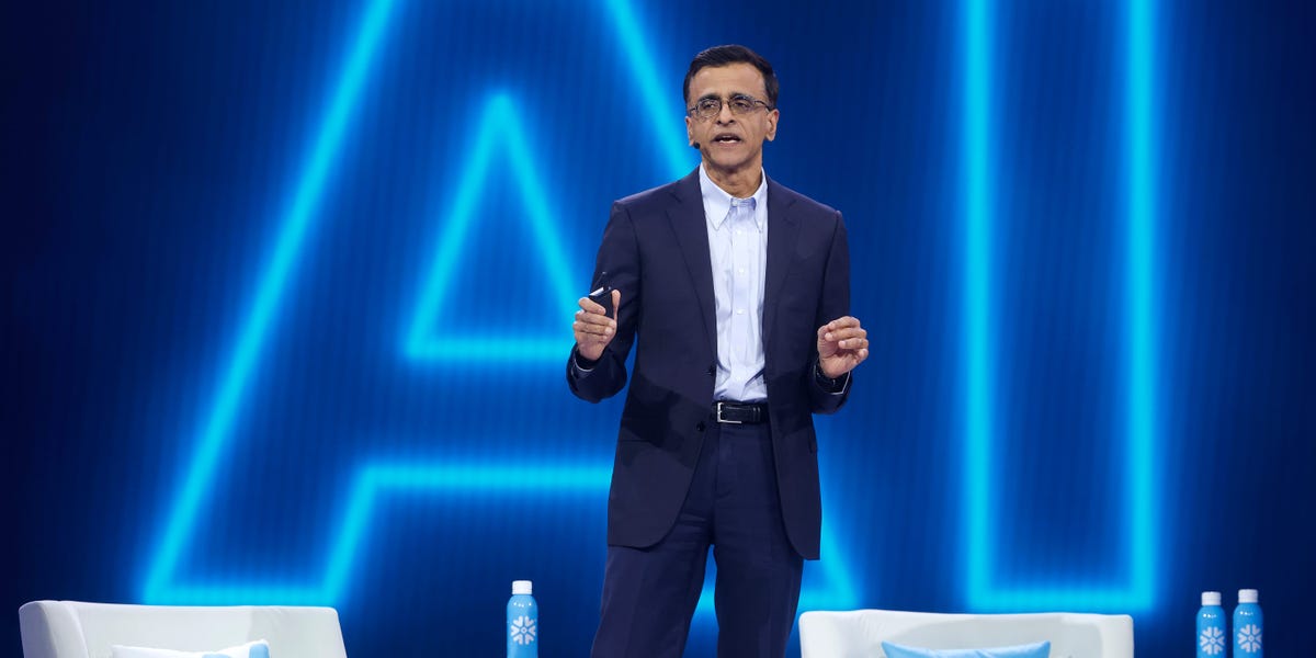 Snowflake CEO Sridhar Ramaswamy says that people either overhype the impact of AI, or assume doomsday scenarios.