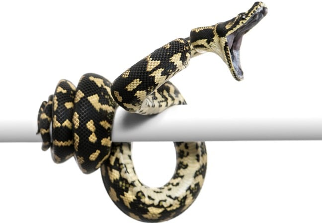 The open-source libraries were created by Salesforce, Nvidia, and Apple with a Swiss group Vulnerabilities in popular AI and ML Python libraries used in Hugging Face models with tens of millions of downloads allow remote attackers to hide malicious code in me…