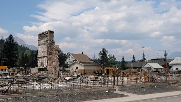 A new national analysis finds Canada is seeing fewer wildfires overall, but a growing share of damage is being driven by a smaller number of increasingly large, hard-to-control fires.