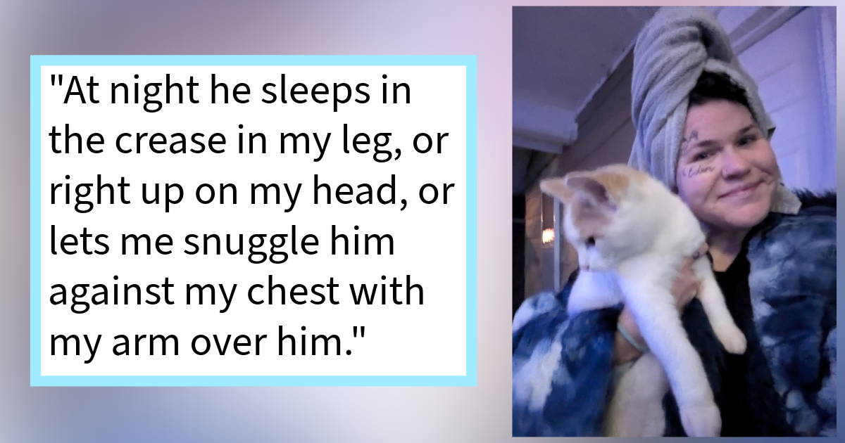 Dog lovers, listen up. Now, it is not that we do not believe you, we certainly do. What is not to like about a dog, it's cute, it comes when it is called and if you are lucky it does not lick your face after it has finished licking its privates. But when it c…