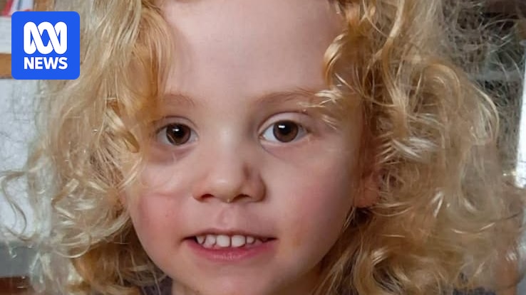 Police are again at remote Oak Park Station searching for evidence related to the disappearance of missing four-year-old Gus Lamont, with a retired police officer saying detectives are likely "looking for a motive".