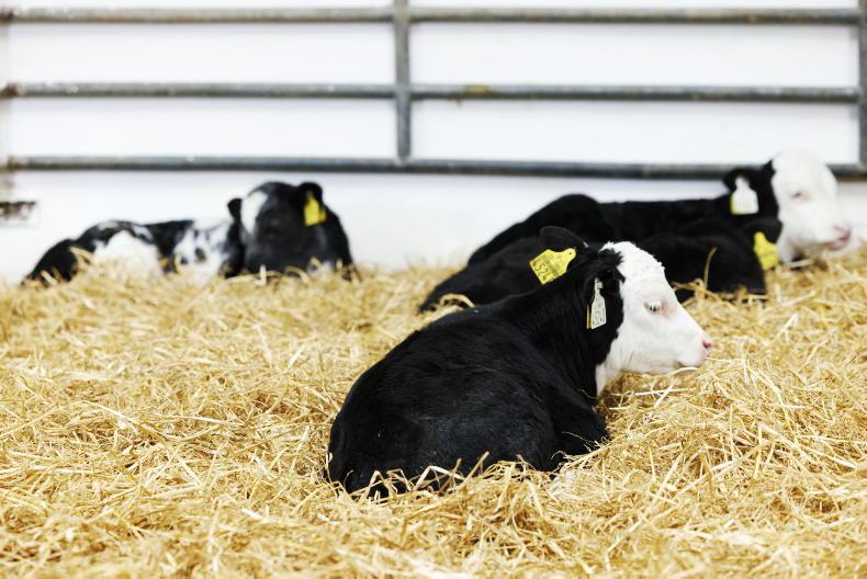 From house hygiene to your own mental health, Martin Merrick discusses where farmers can look to improve the management of the farm this busy spring period.