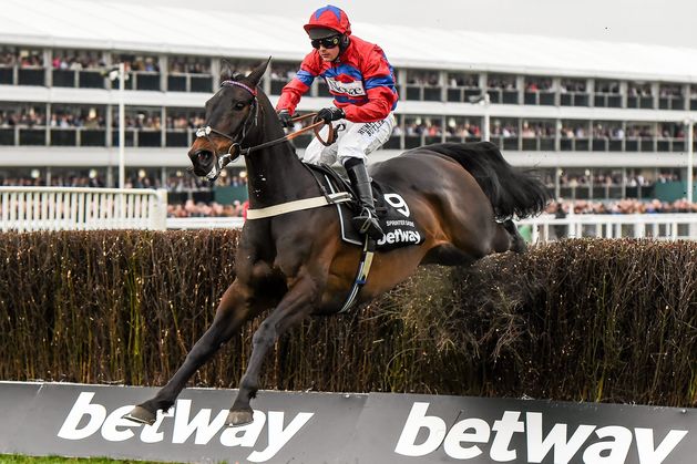 Nicky Henderson has allayed any concerns about the health of Sprinter Sacre, confirming the dual Champion Chase hero is currently undergoing treatment for a  “minor bang”.