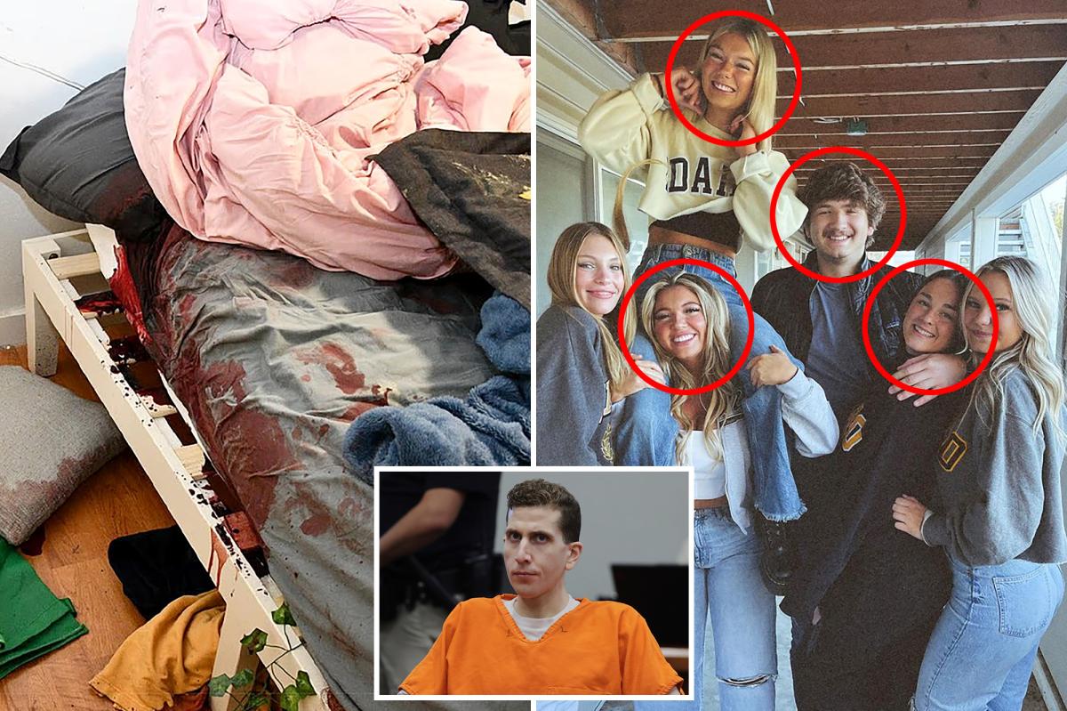 Bryan Kohberger was trying to play out a “psychosexual fantasy” when he murdered four University of Idaho students, according to an expert who examined the barbaric wounds on his victims. Forensic psychologist Gary Brucato believes the number and nature of th…